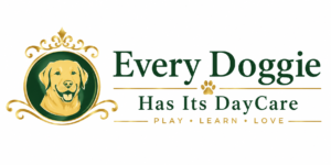 Every Doggie Has Its Daycare of Peoria, AZ