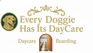Every Doggie Has Its Daycare of Peoria, AZ